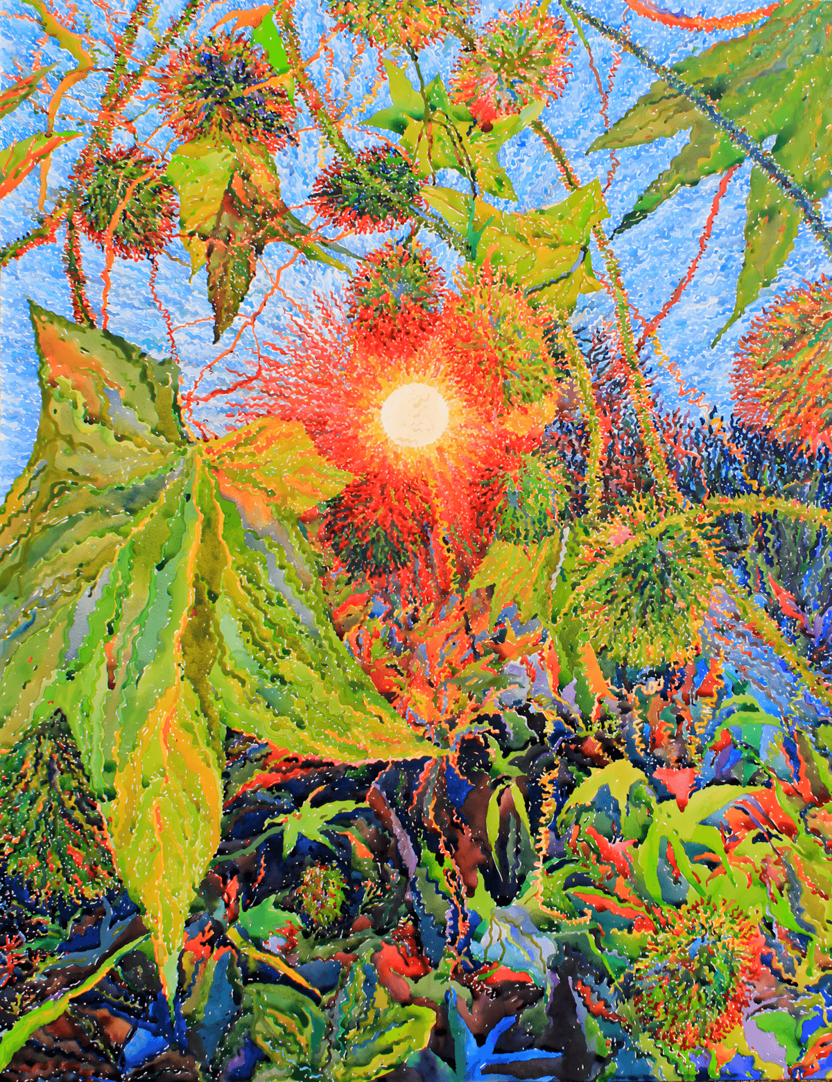 premium art poster and canvas prints, with originals available, from QART , of the artwork " Wild Cucumber "