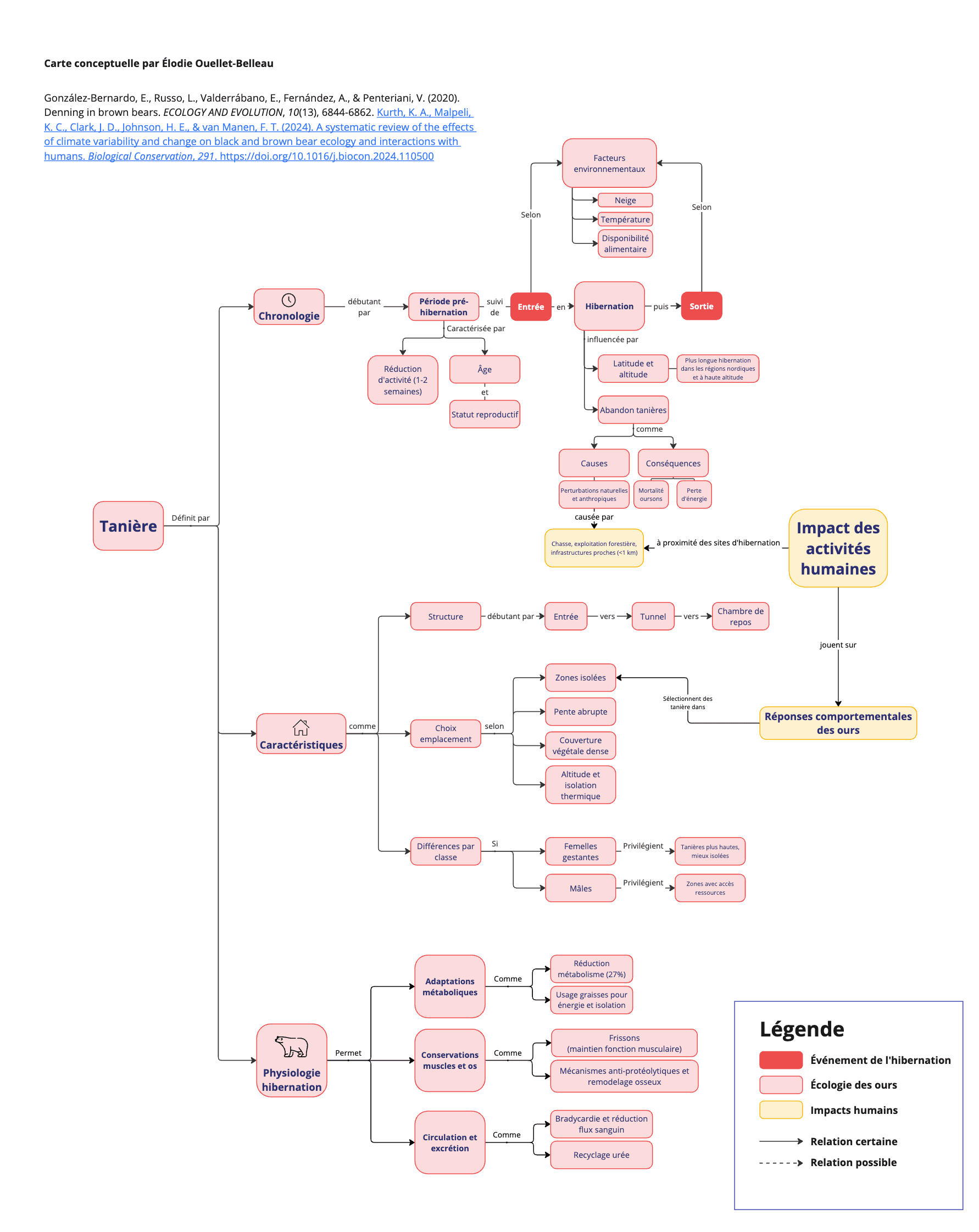 Carte conceptuelle de l'article González-Bernardo, E., Russo, L., Valderrábano, E., Fernández, A., & Penteriani, V. (2020). Denning in brown bears. ECOLOGY AND EVOLUTION, 10(13), 6844‑6862. Kurth, K. A., Malpeli, K. C., Clark, J. D., Johnson, H. E., & van&nbsp;Manen, F. T. (2024). A systematic review of the effects of climate variability and change on black and brown bear ecology and interactions with humans. Biological Conservation, 291. https://doi.org/10.1016/j.biocon.2024.110500 par Élodie Ouellet-Belleau