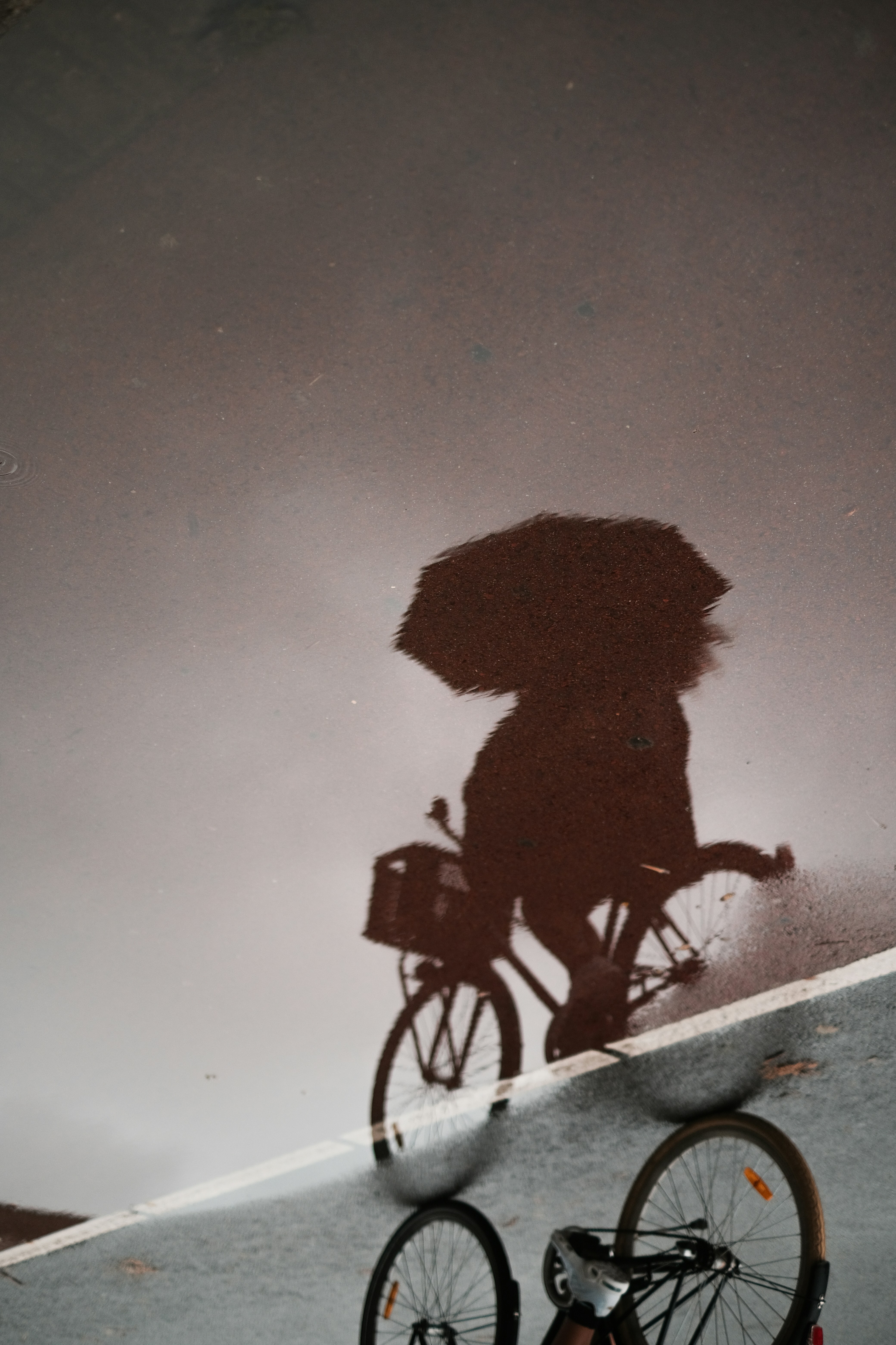 A shadow of a person riding a bike on a ramp