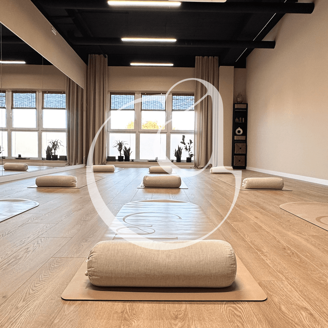 Symbol of Calma studio with the calss room in the background