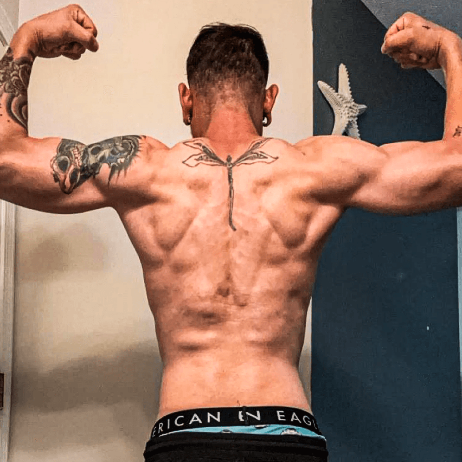 diagofit gym gallery 18