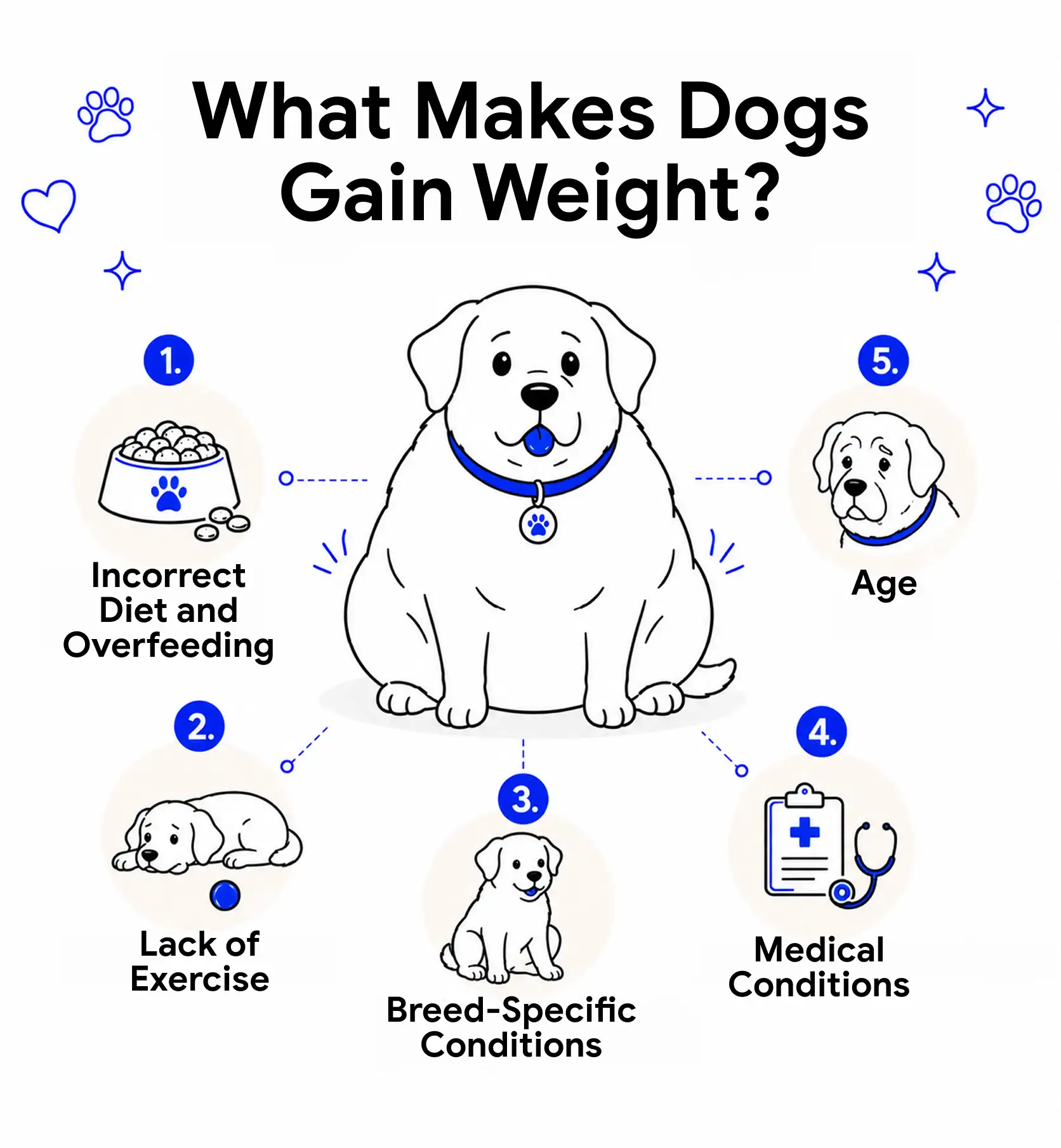 An infographic showing the reasons why dogs gain weight.