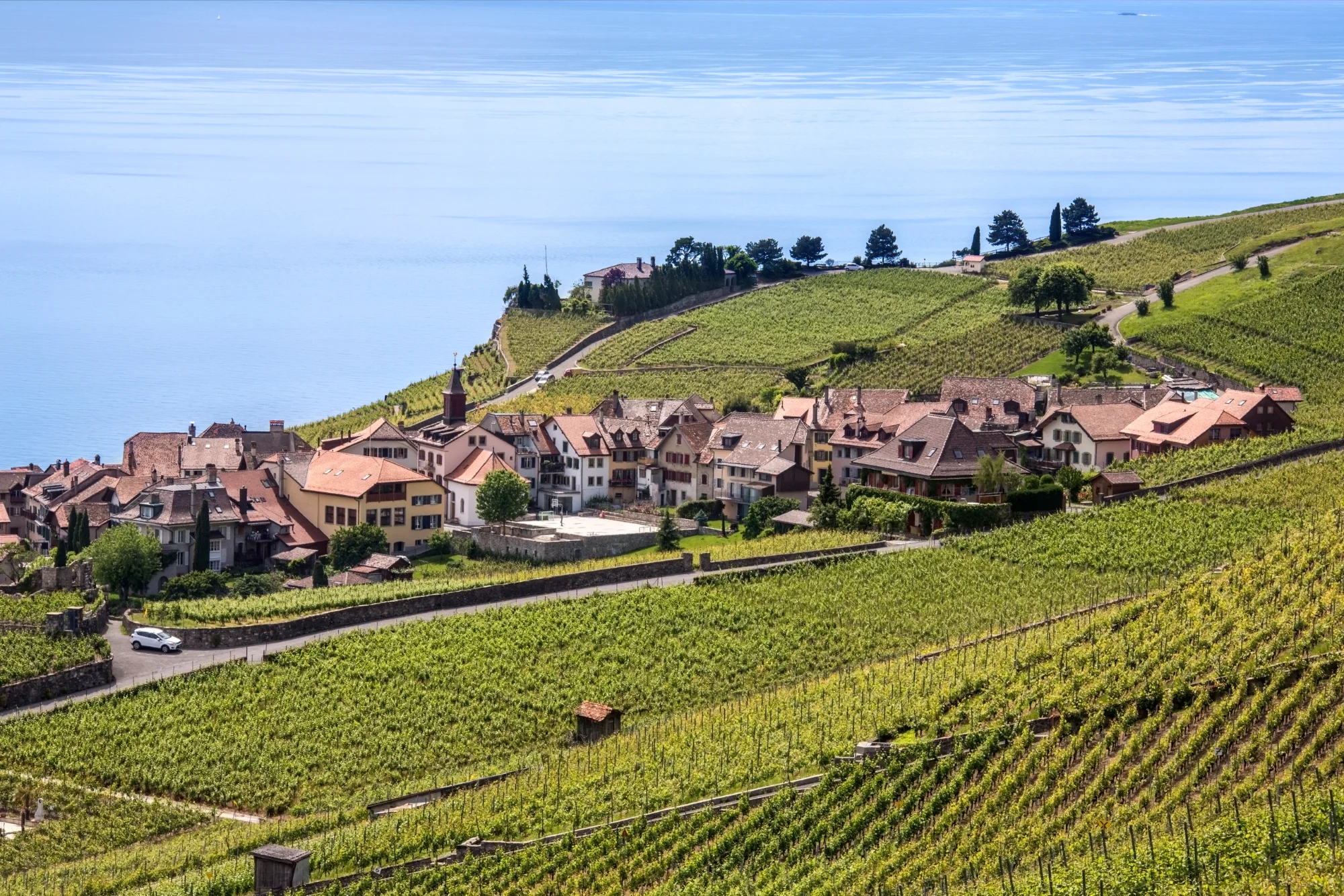 Escapade viticole et dégustation dans le canton de Genève