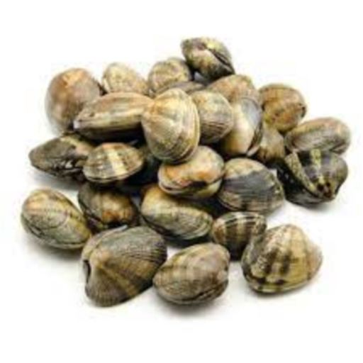 Vongole Veraci