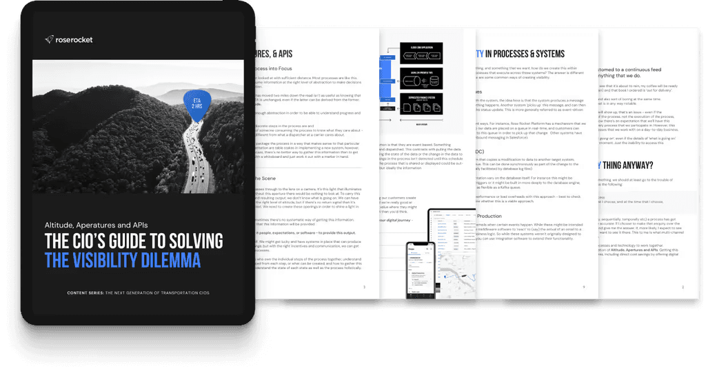 The CIO's Guide to Solving the Visibility Dilemma cover