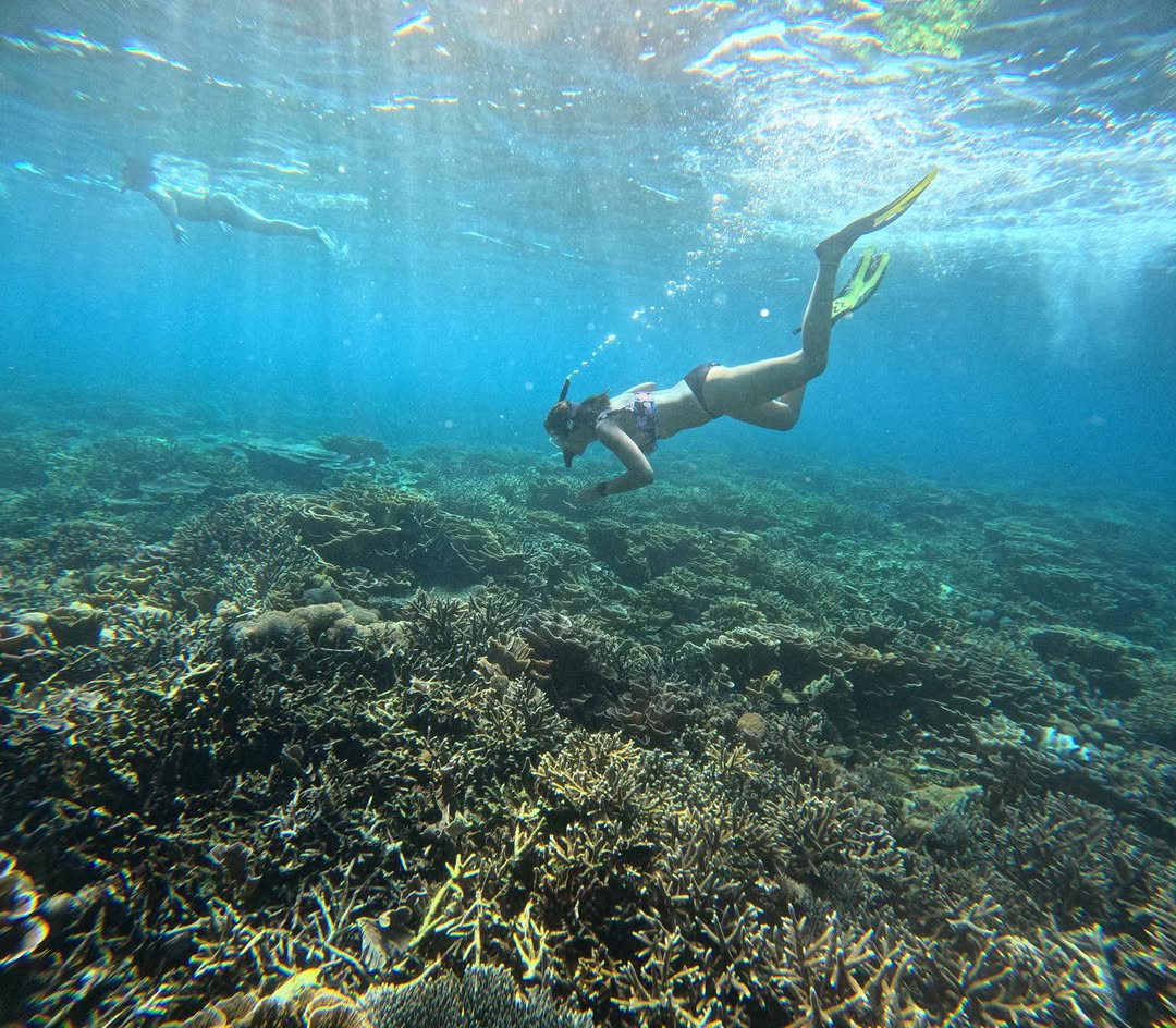 Dive into the underwater paradise