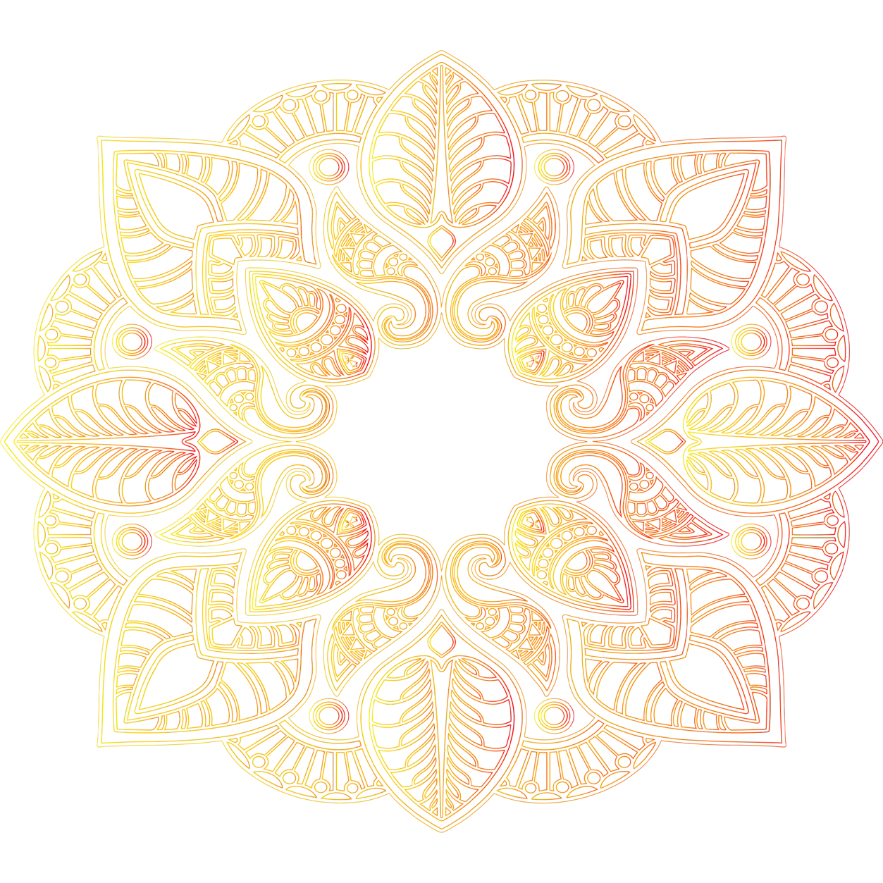 Mandala Ginger Beer Energy Immunity