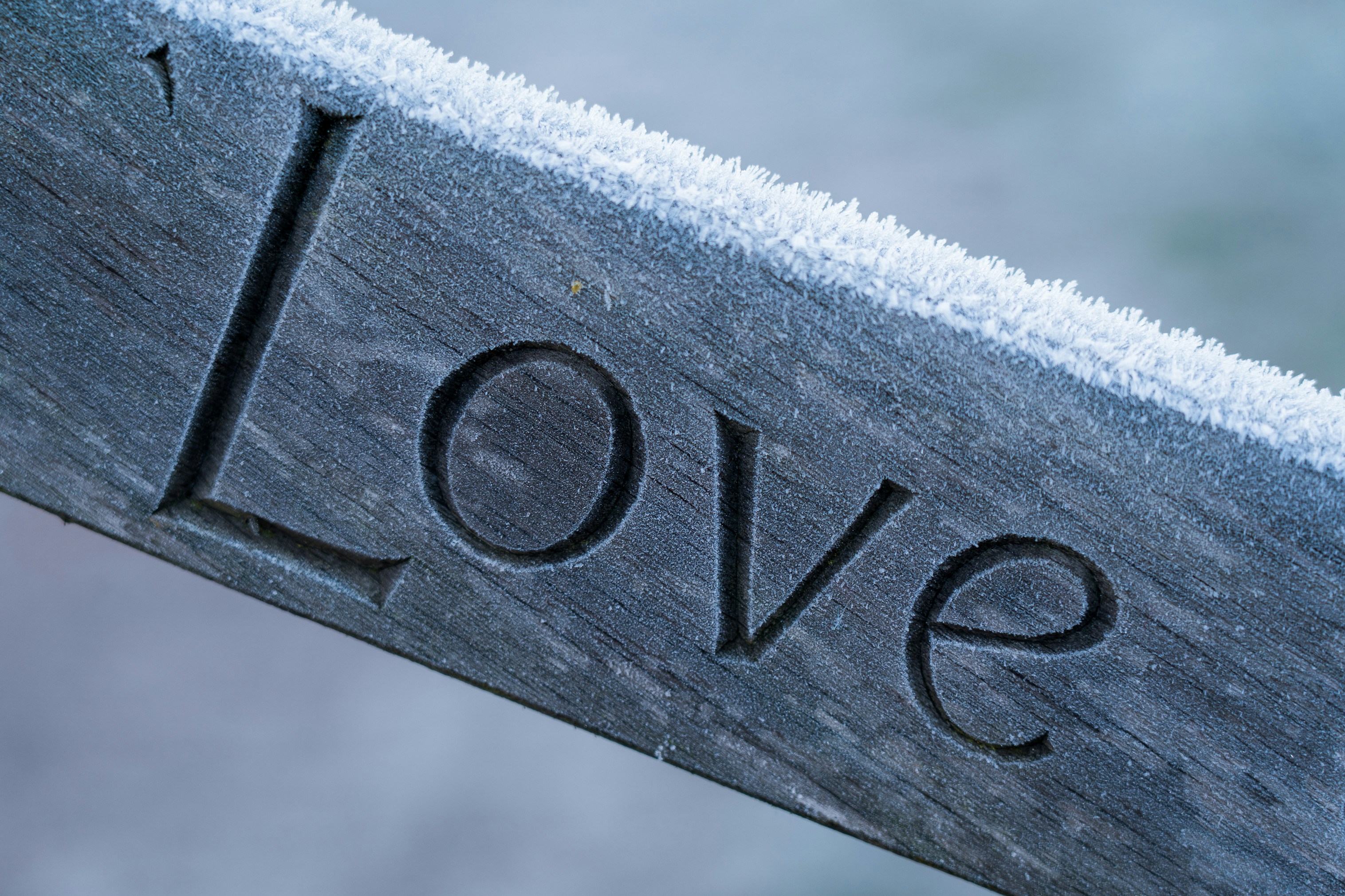 Love