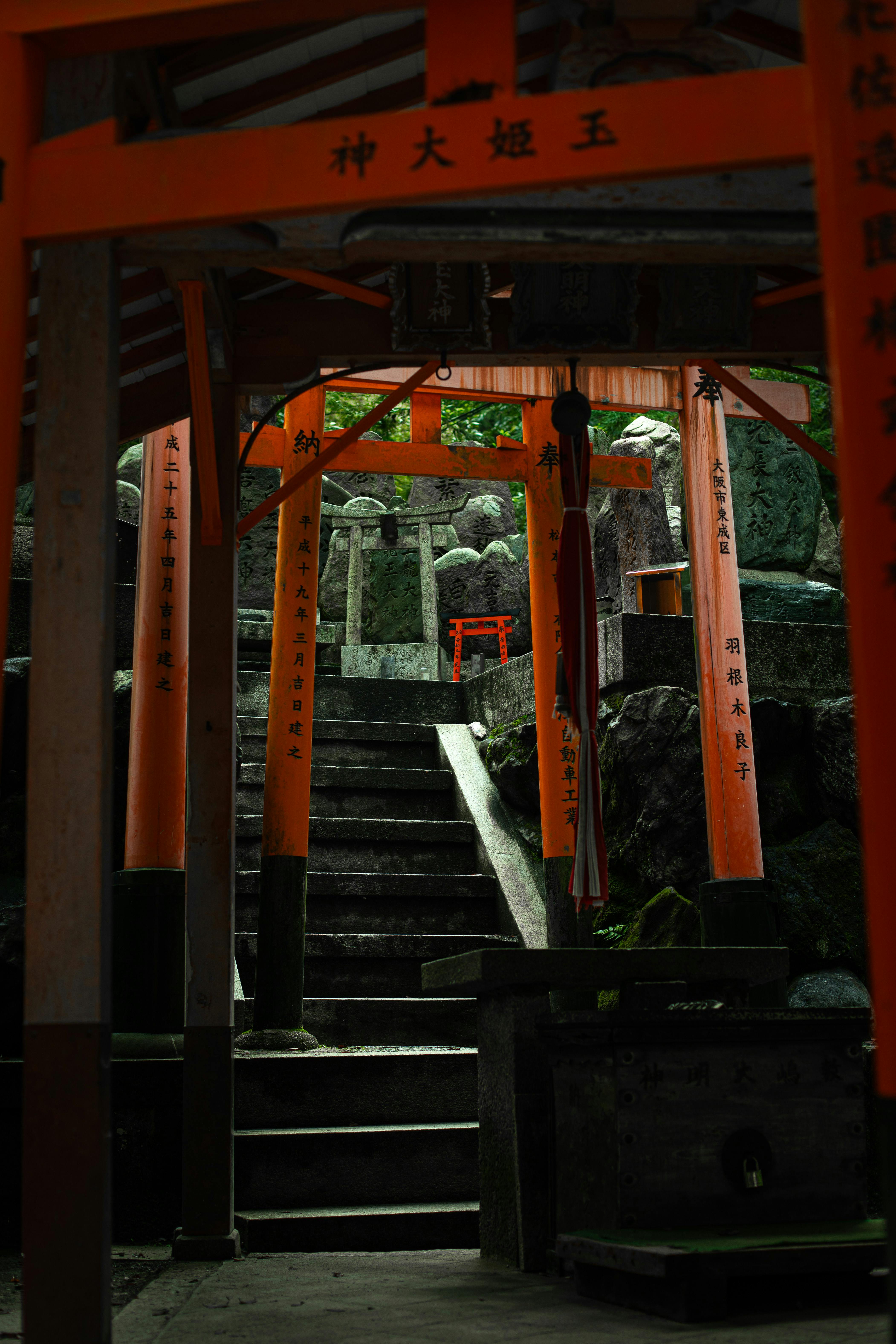 winding road near mountains and forest during daytime