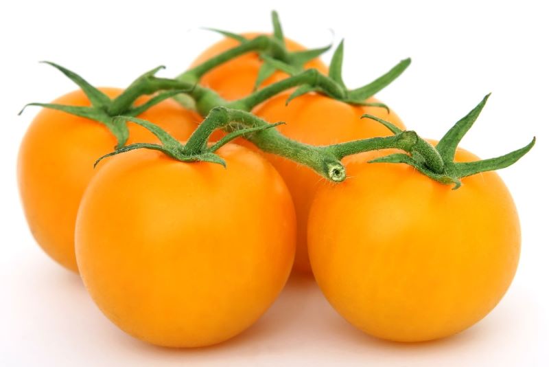 Pomodori gialli