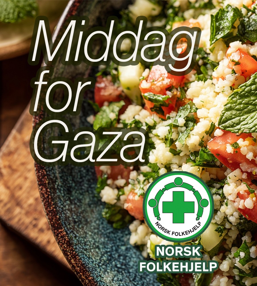 Plate of food from Palestine