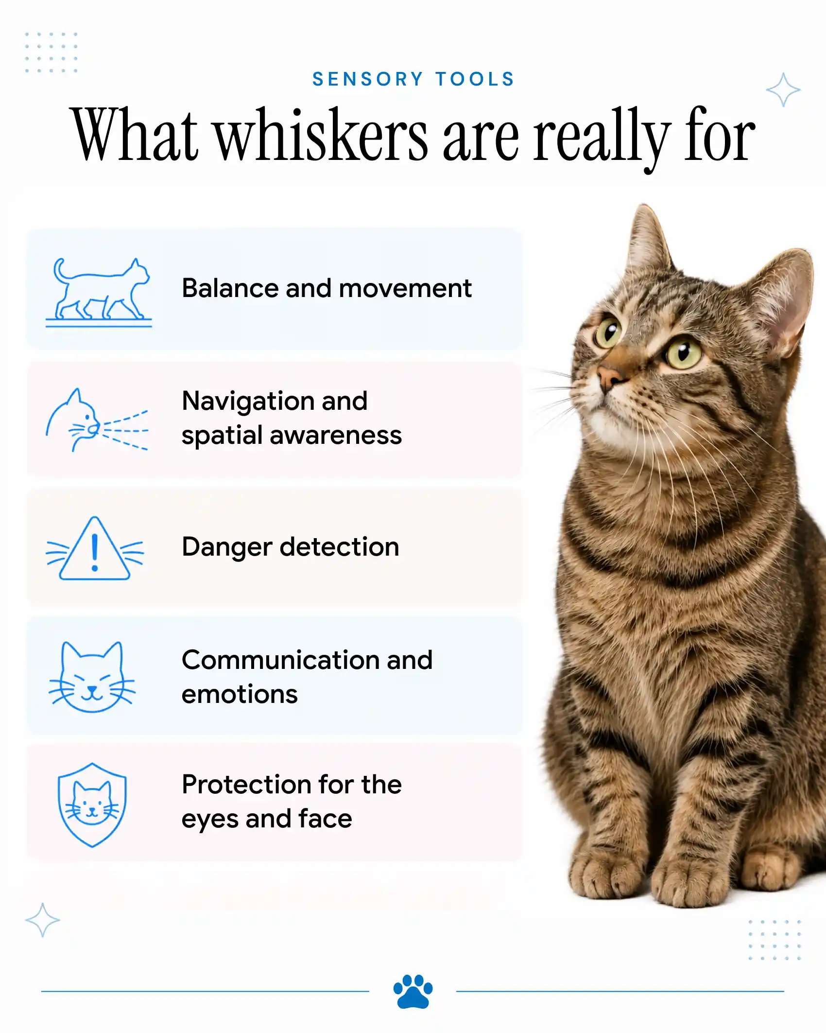The many uses of a cat's whiskers.