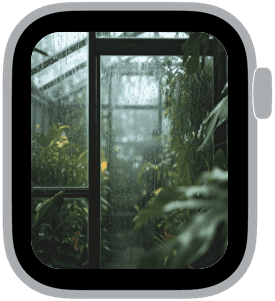 greenhouse rain Apple Watch face preview 4 featuring floral, summer, and spring.