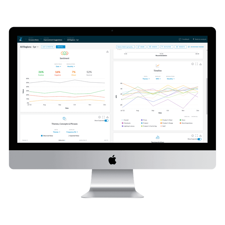 Kapiche text analytics software