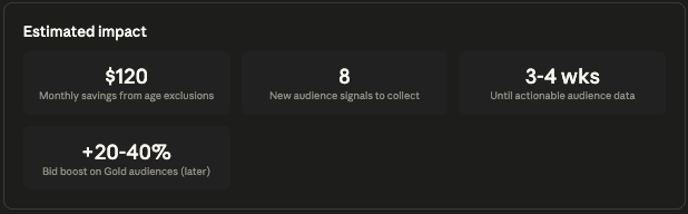 How to Analyze Google Ads Audience Targeting with Claude 8