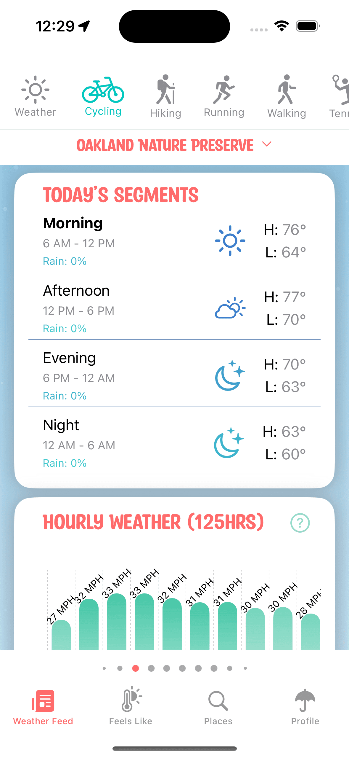 Brzzy Weather app Daily weather segments.