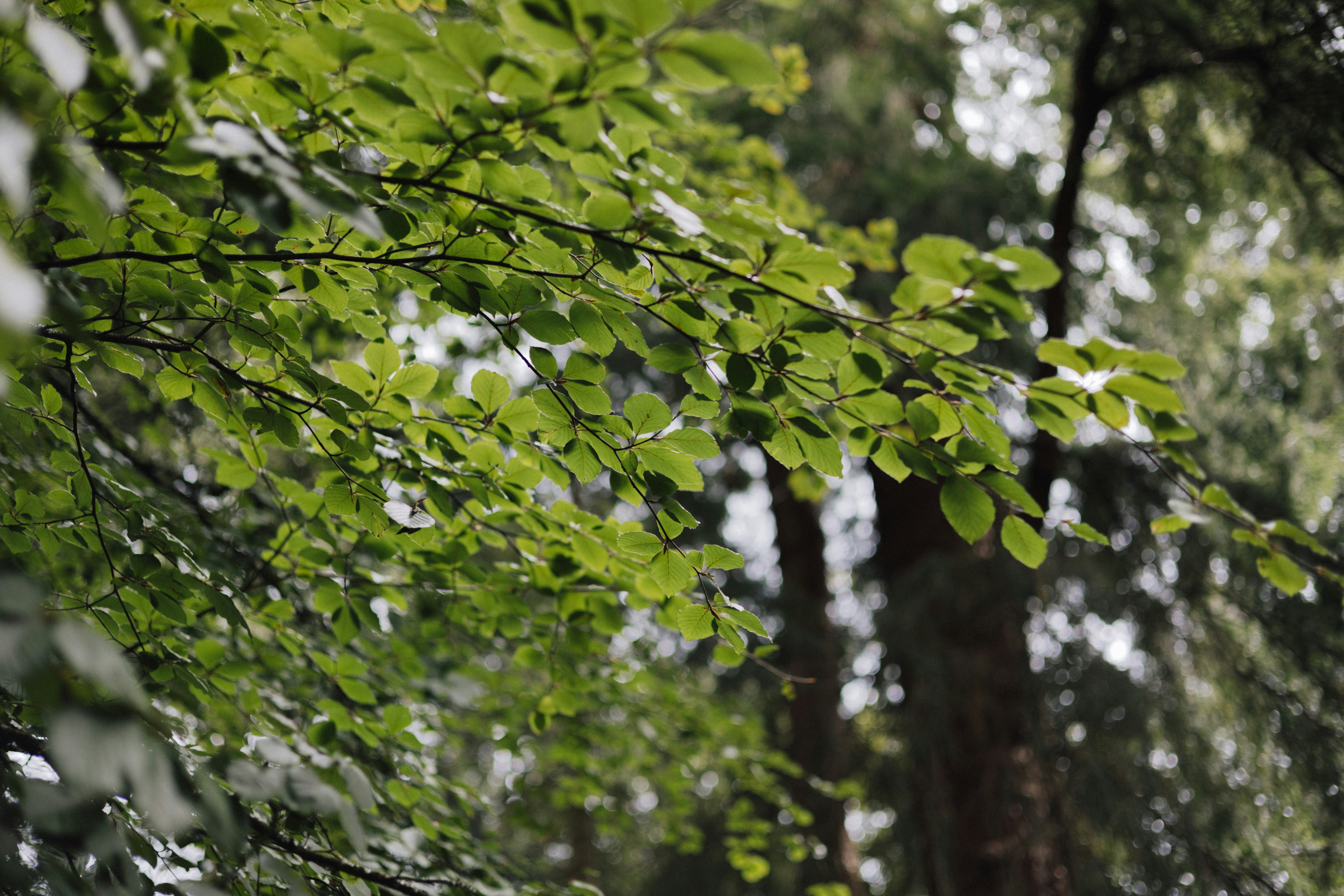 Lake view from RV site with hot tub