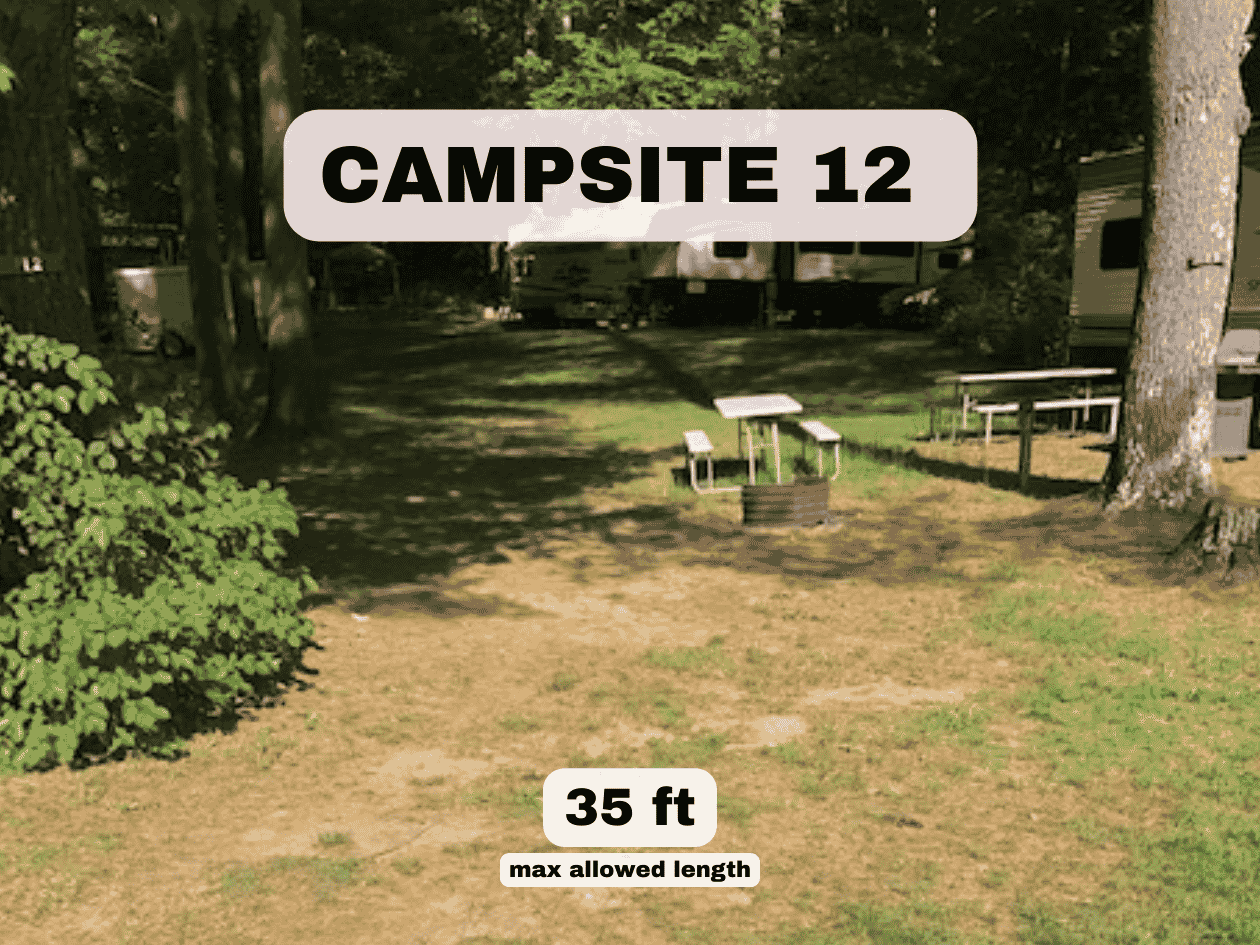 Campsite 12 at Pine Hollow Campground, a 35ft max length wooded RV site with a picnic table and fire ring