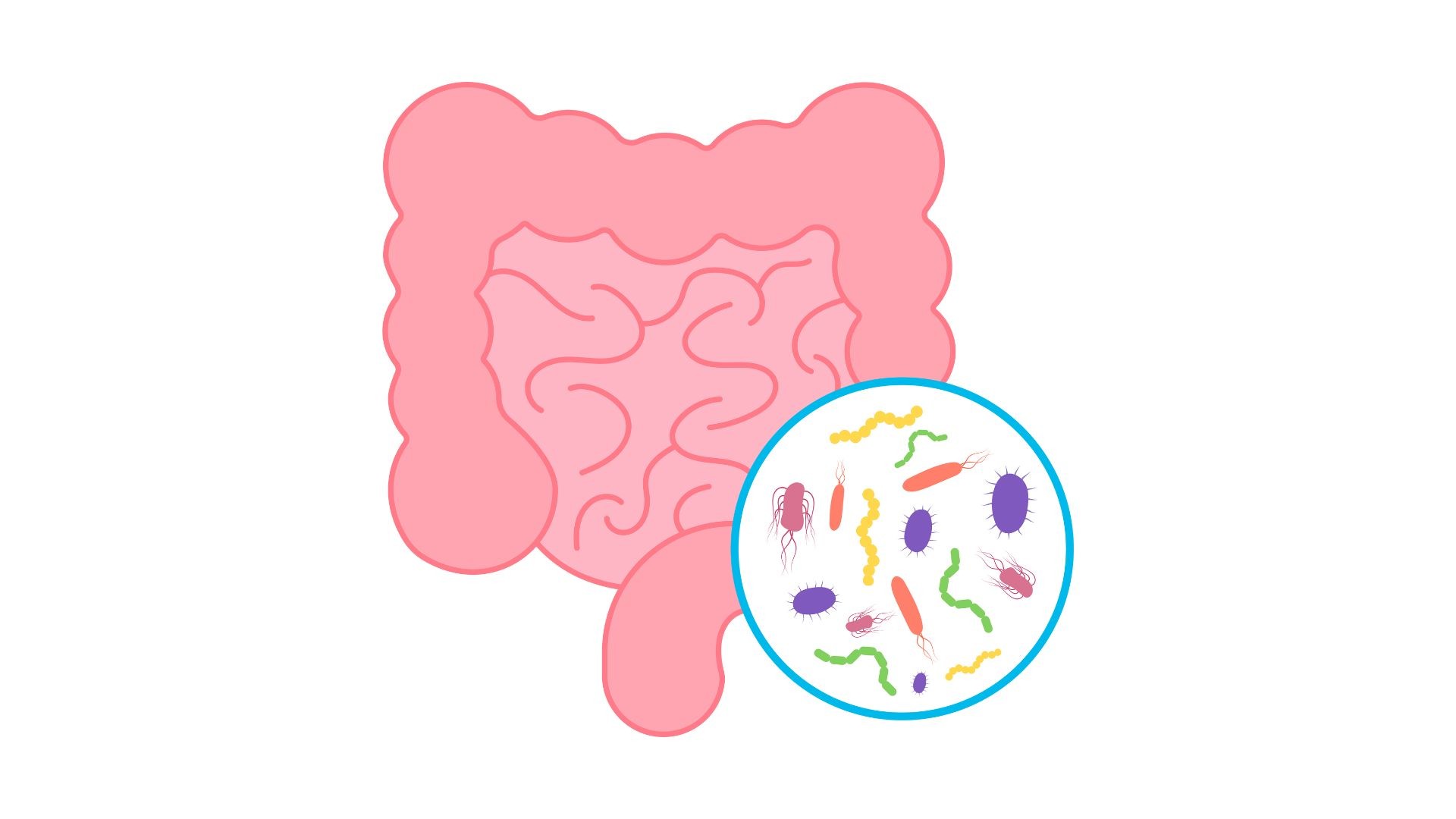 Expertos en "Nutrición y microbiota" en Terrassa, Barcelona. Heaven Clinics
