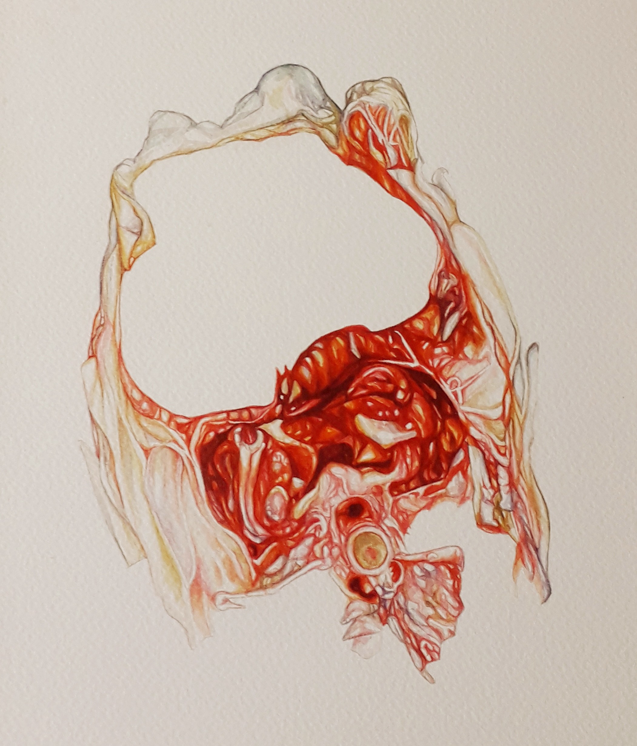 herd of sheep on road painting