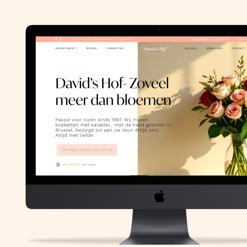 Heph studios portfolio davidshof