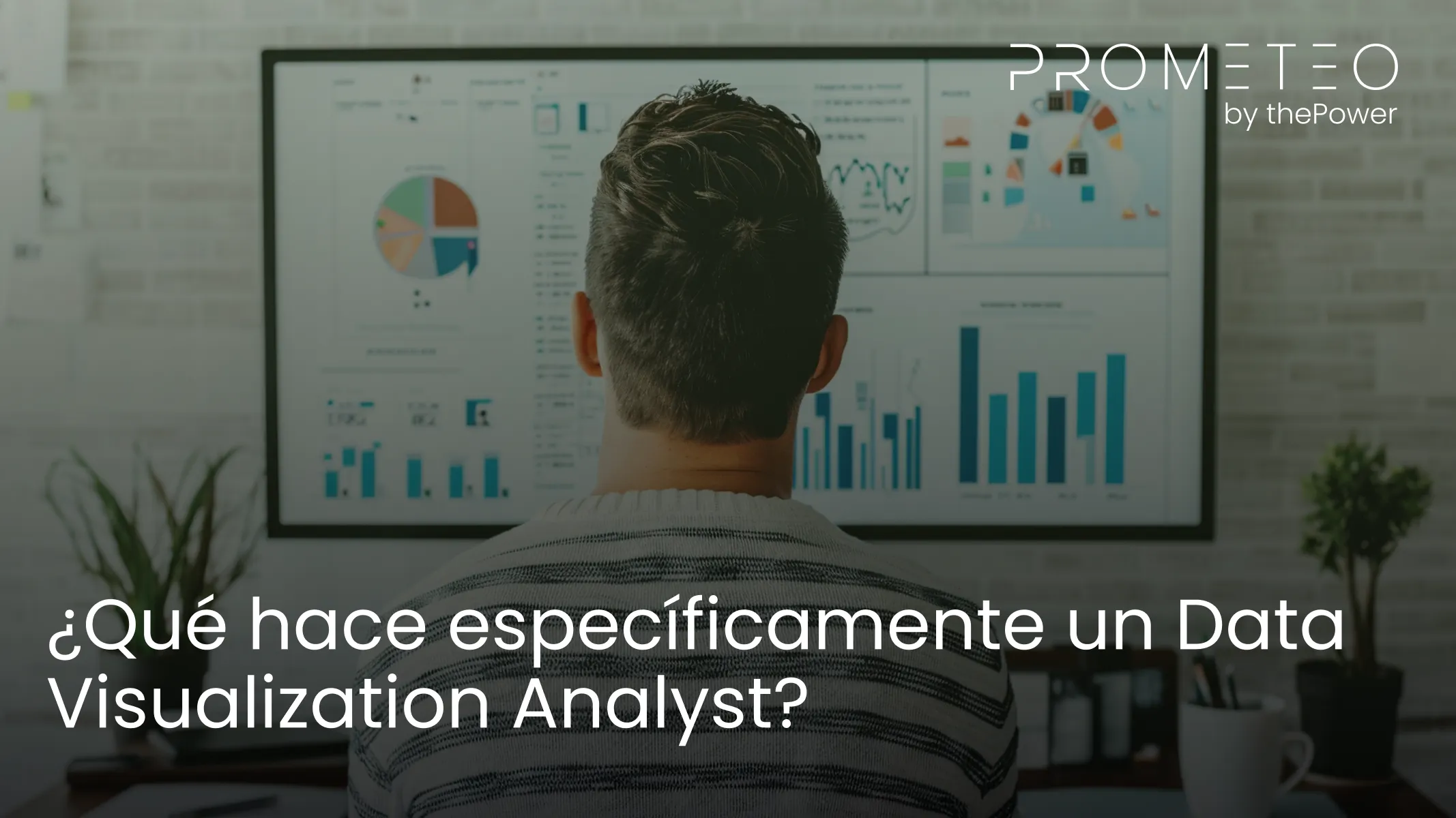 ¿Qué hace específicamente un Data Visualization Analyst?