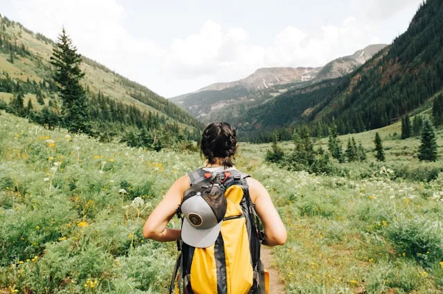 Hiker walking through a mountain meadow with trees and hills in the background