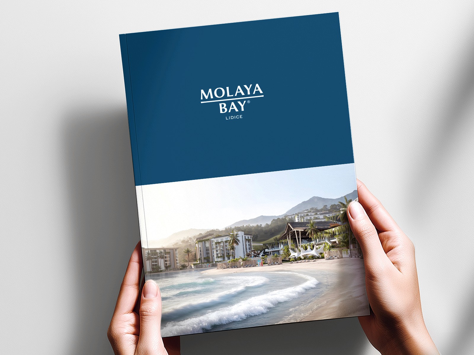 Hands holding a Molaya Bay brochure featuring beachfront imagery and mountain backdrop.