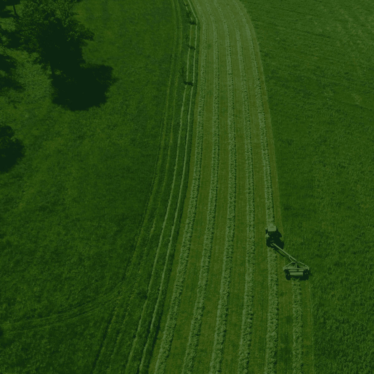 green grass field under white sky during daytime