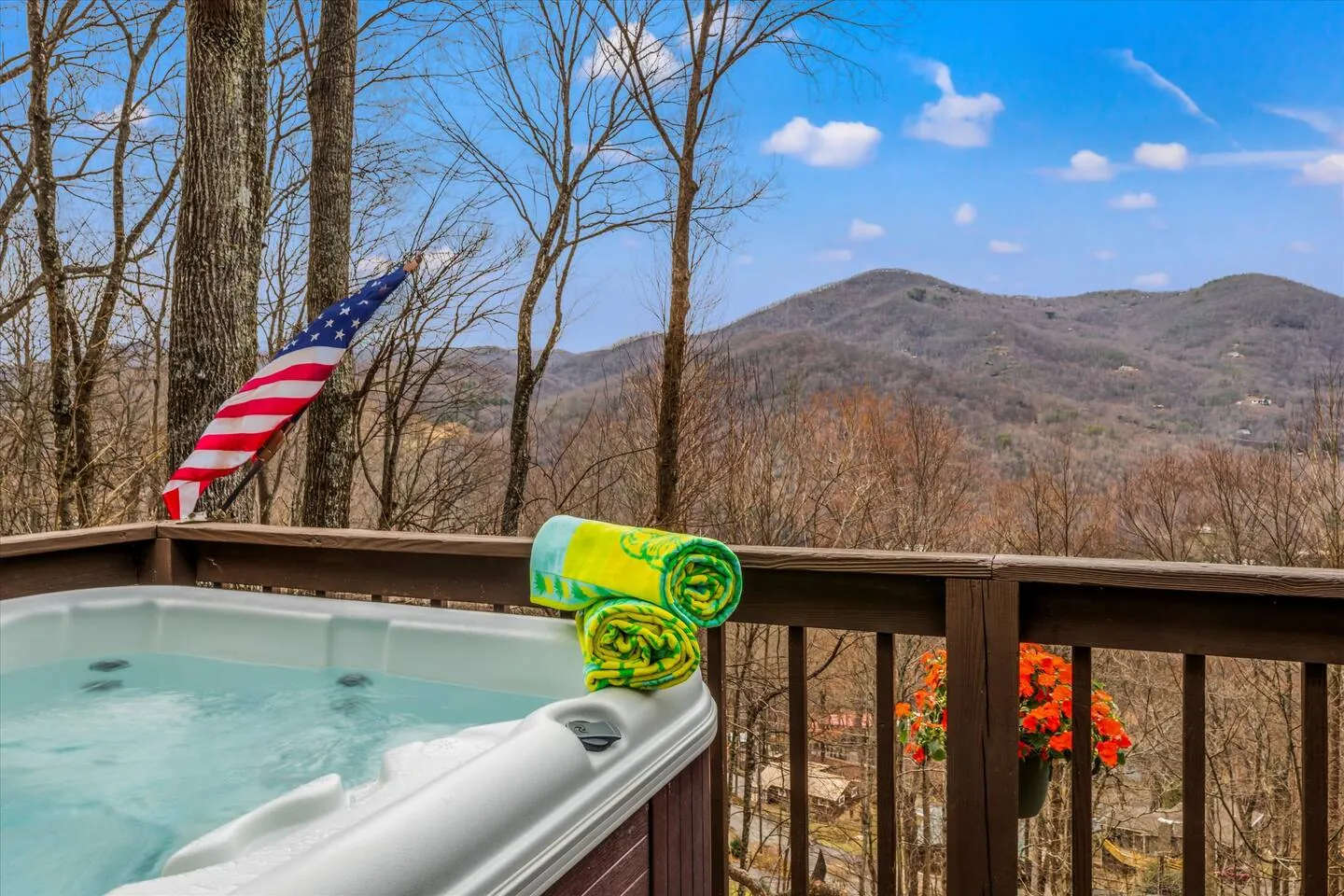 Bella Vista hot tub in winter with bare trees and the mountain beyond
