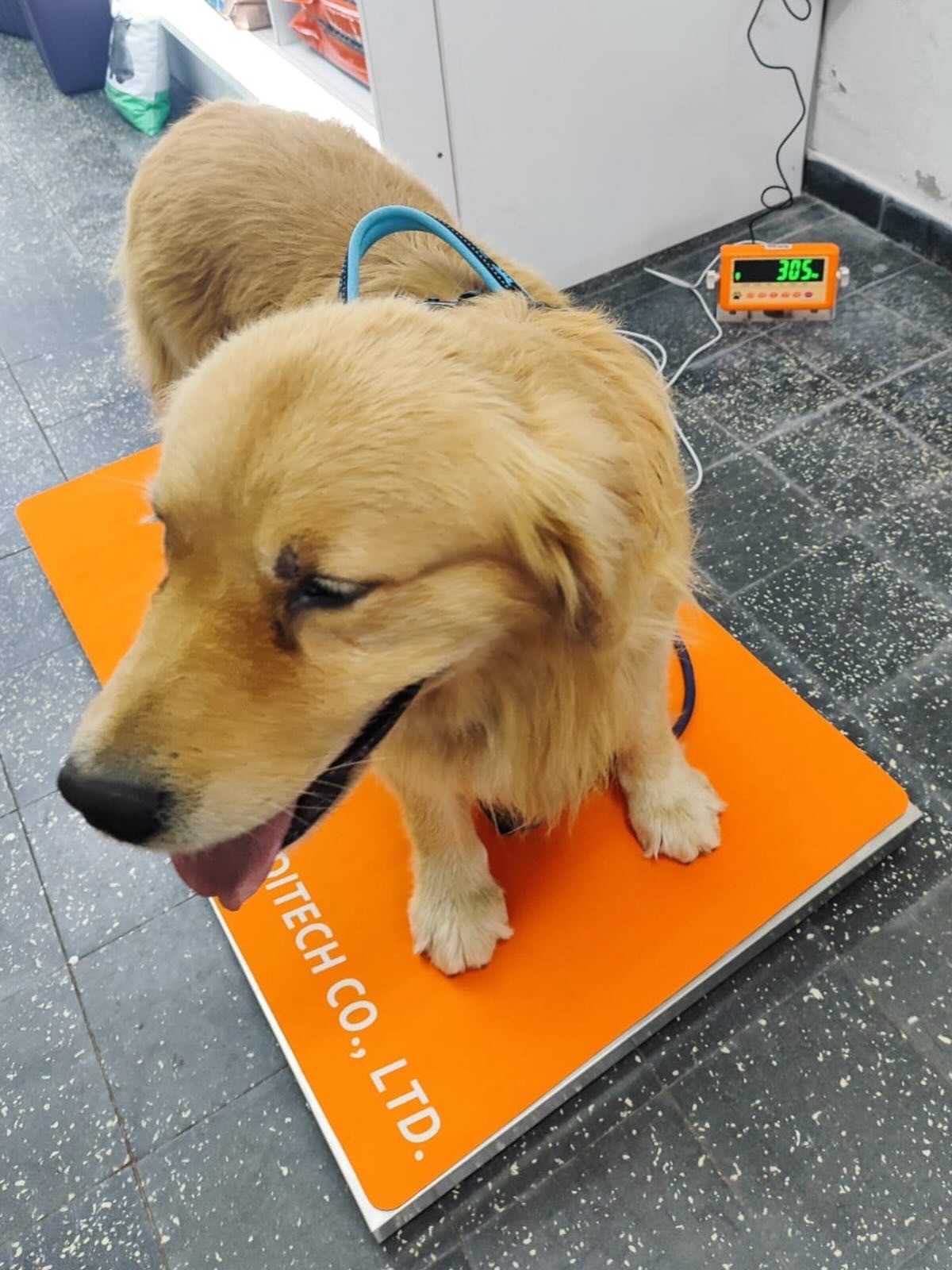 Smiling young man with short hair poses against a dark background, wearing a green button-up shirt.