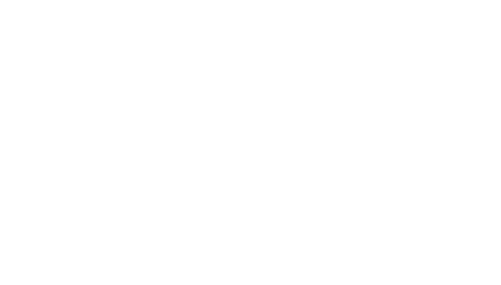 Iberostar Group