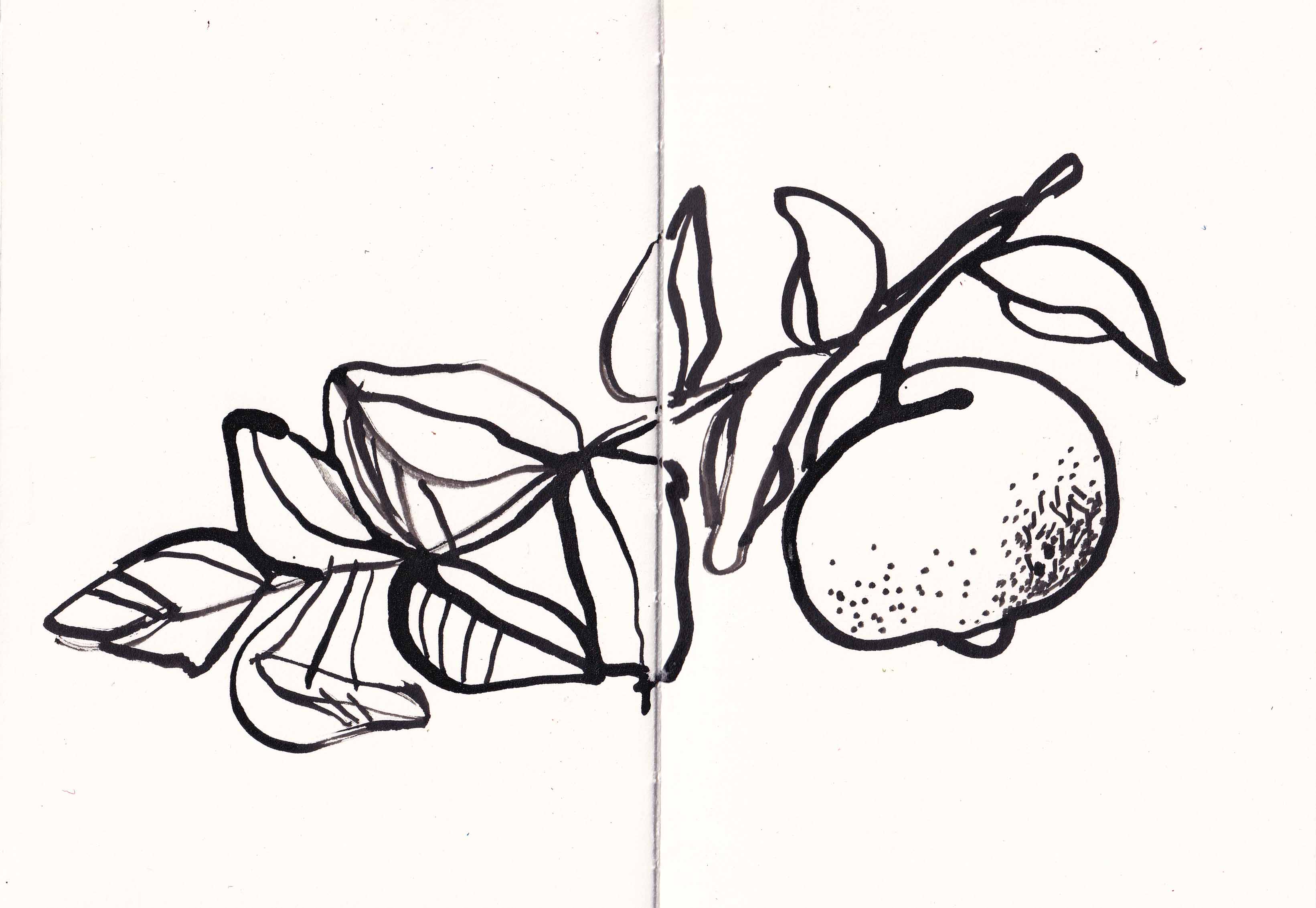 Sketch-4