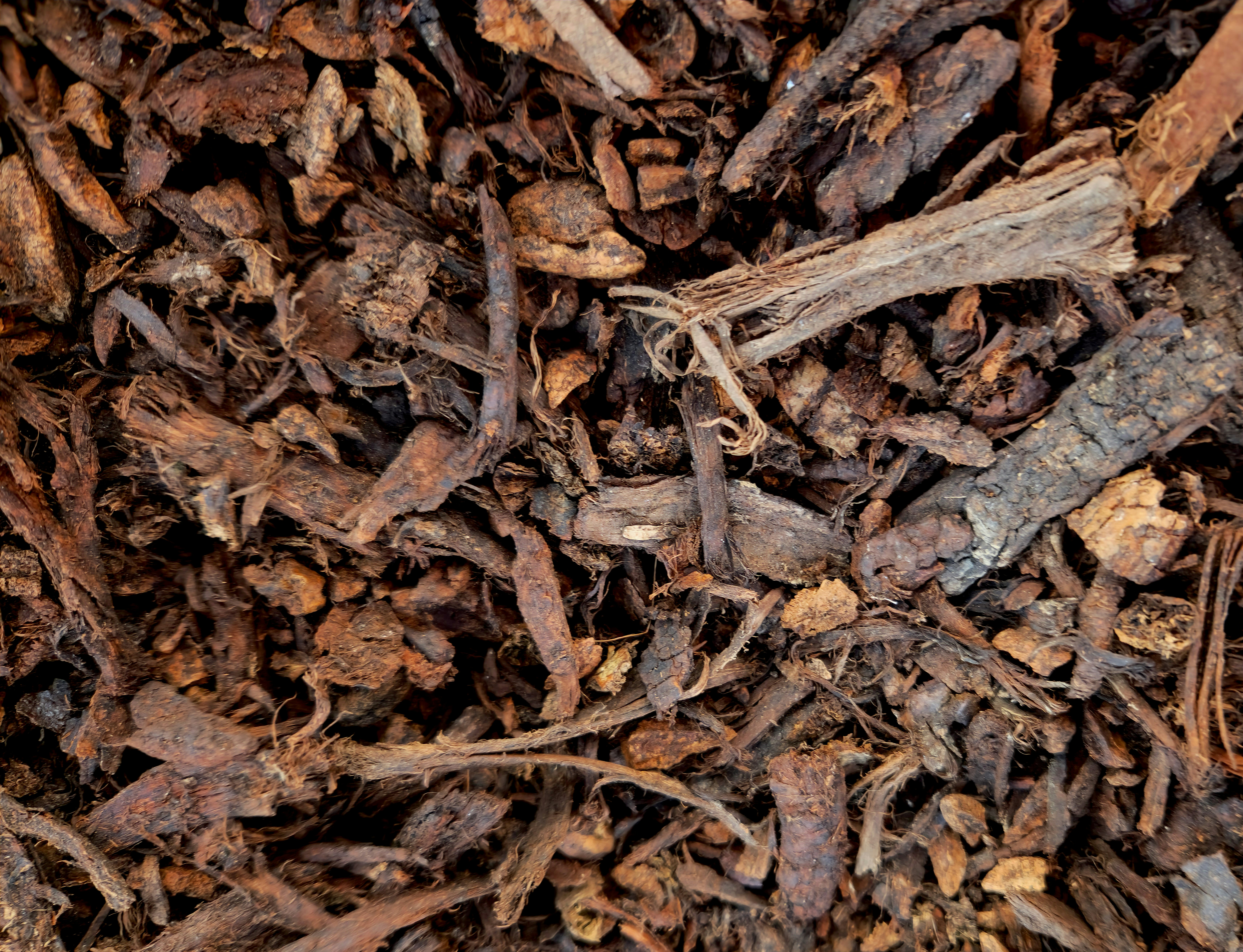 Seasonal yard cleanup and mulching service Orlando FL