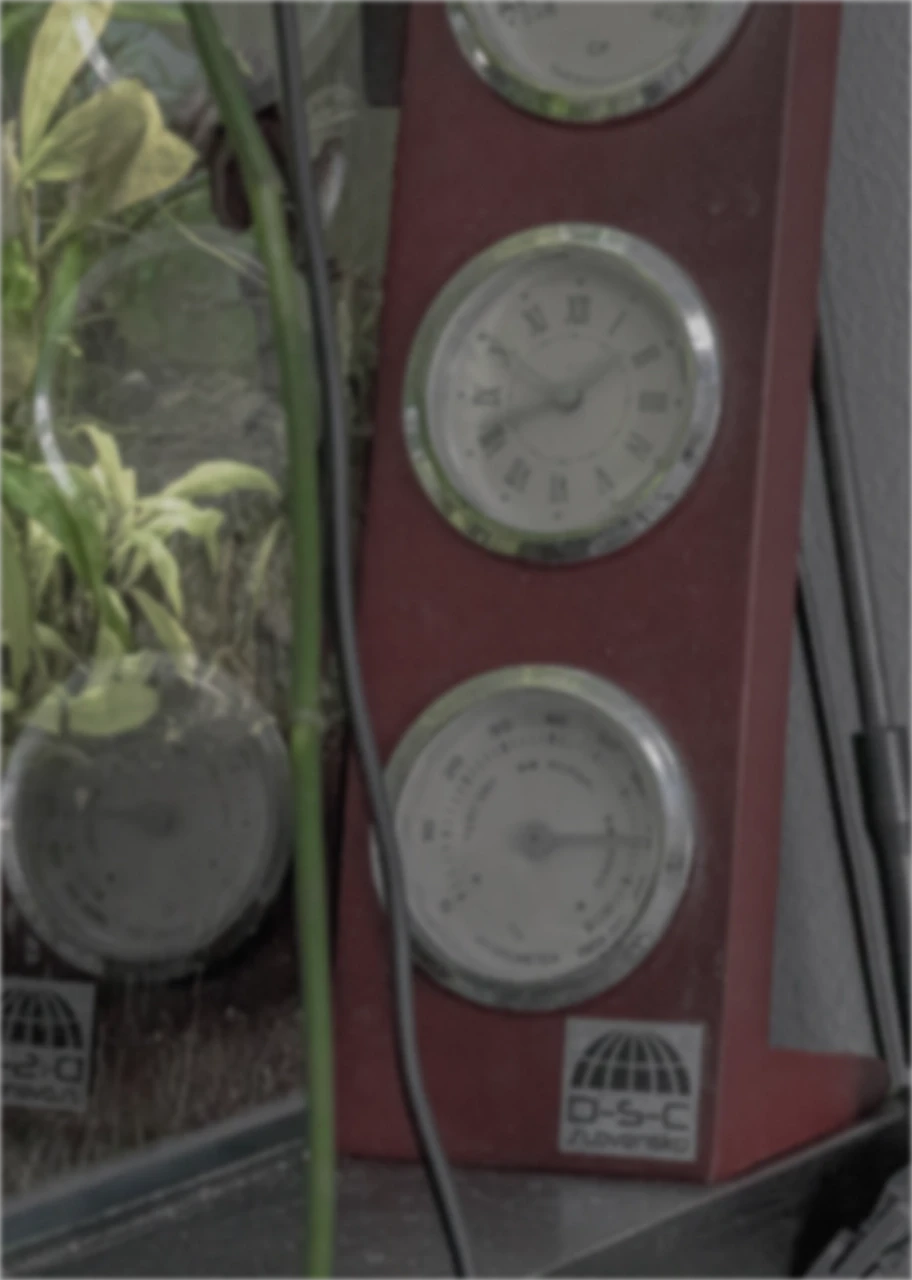 blured persona image