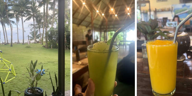 3 images of the garden and ocean view, mango smoothie and a very refreshing Calamansi juice