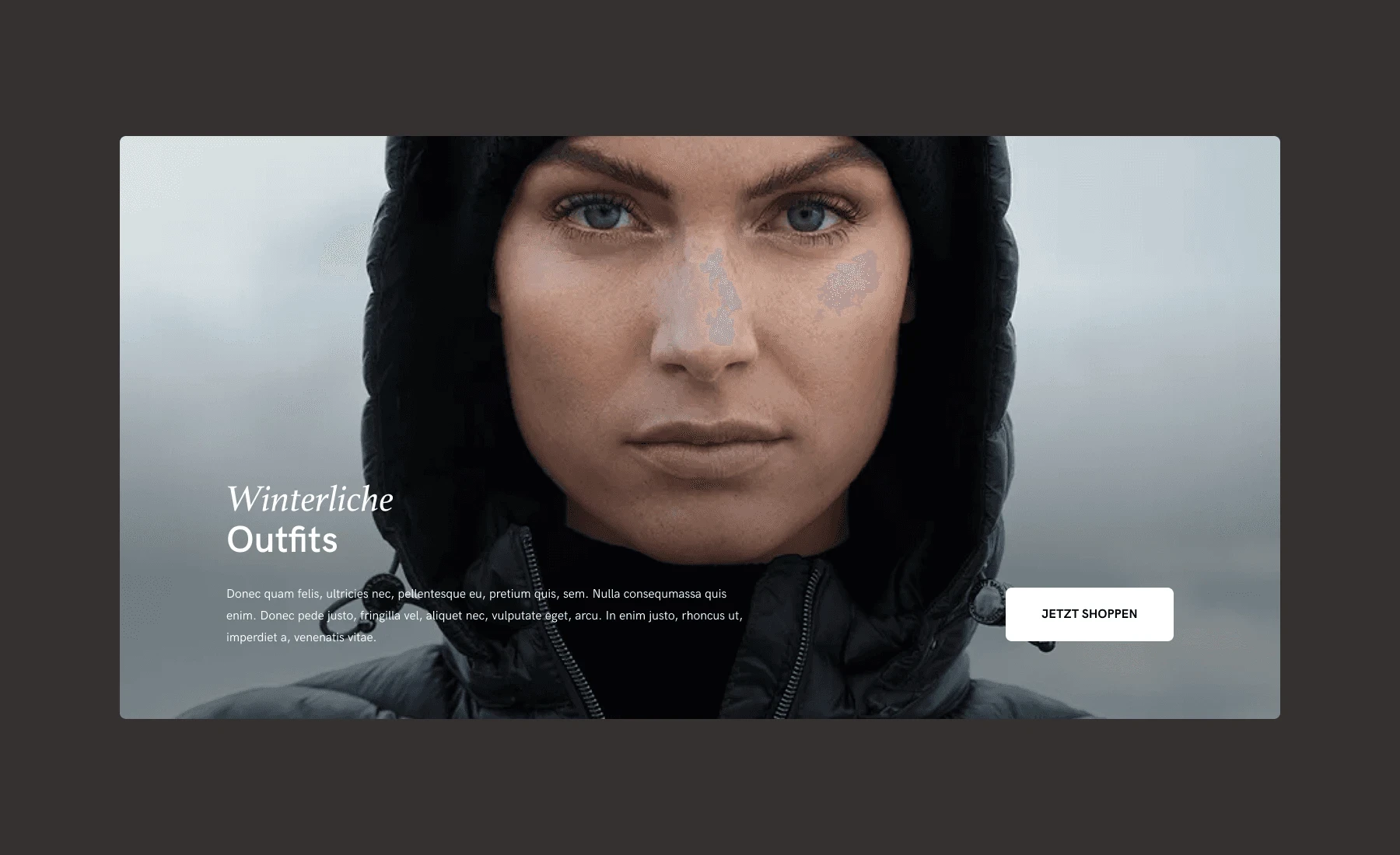 Shopware Agentur