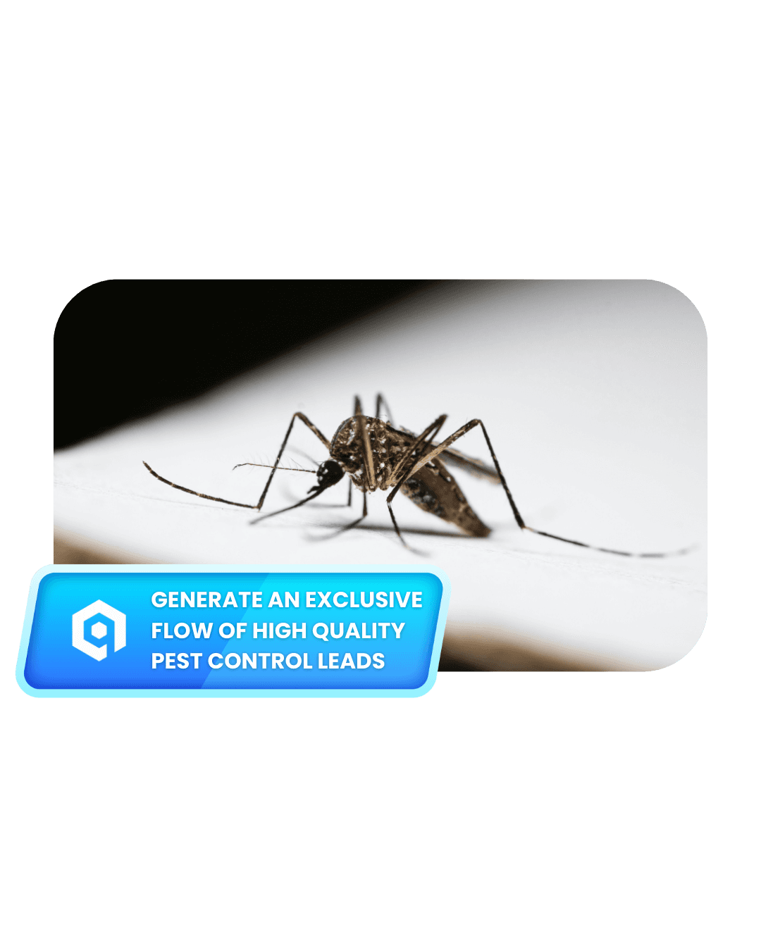 generate-exclusive-fleet-management-leads