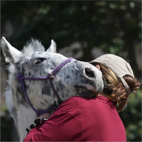 a woman is petting a horse with a hat on