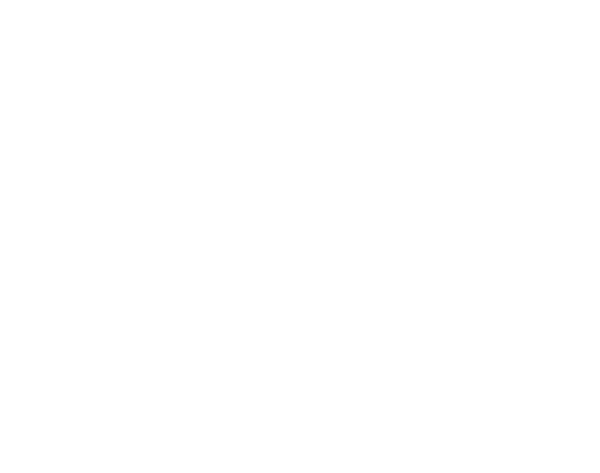 Nero AI Logo
