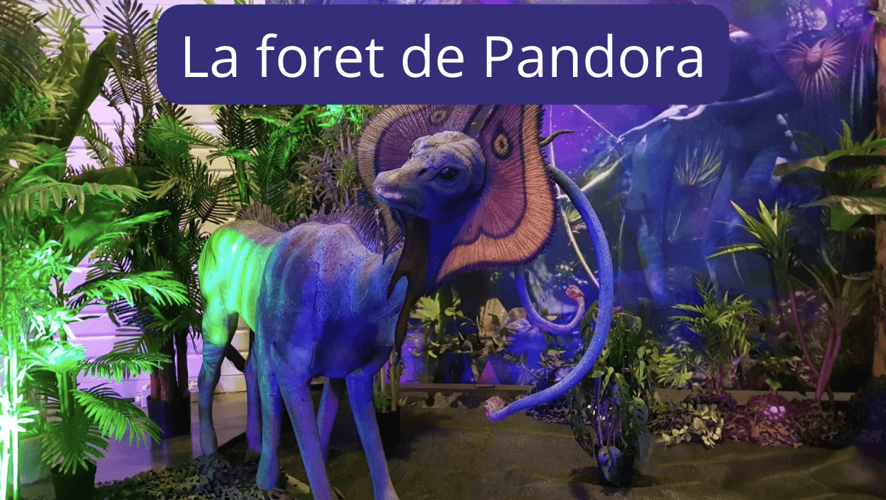 decor-soiree-theme-monde-des-sorciers-pandora