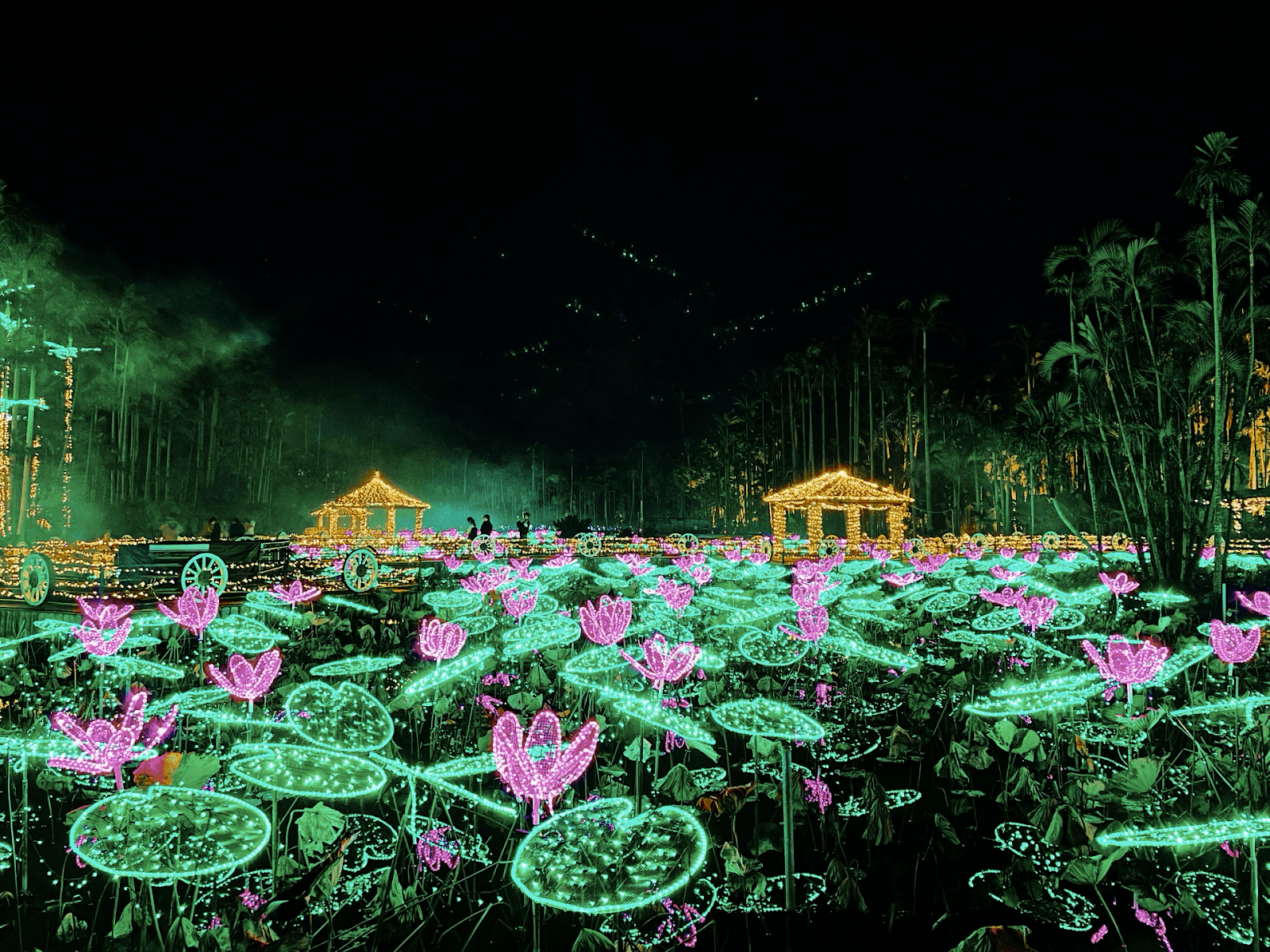 Light up at the South East Botanical Gardens in Okinawa