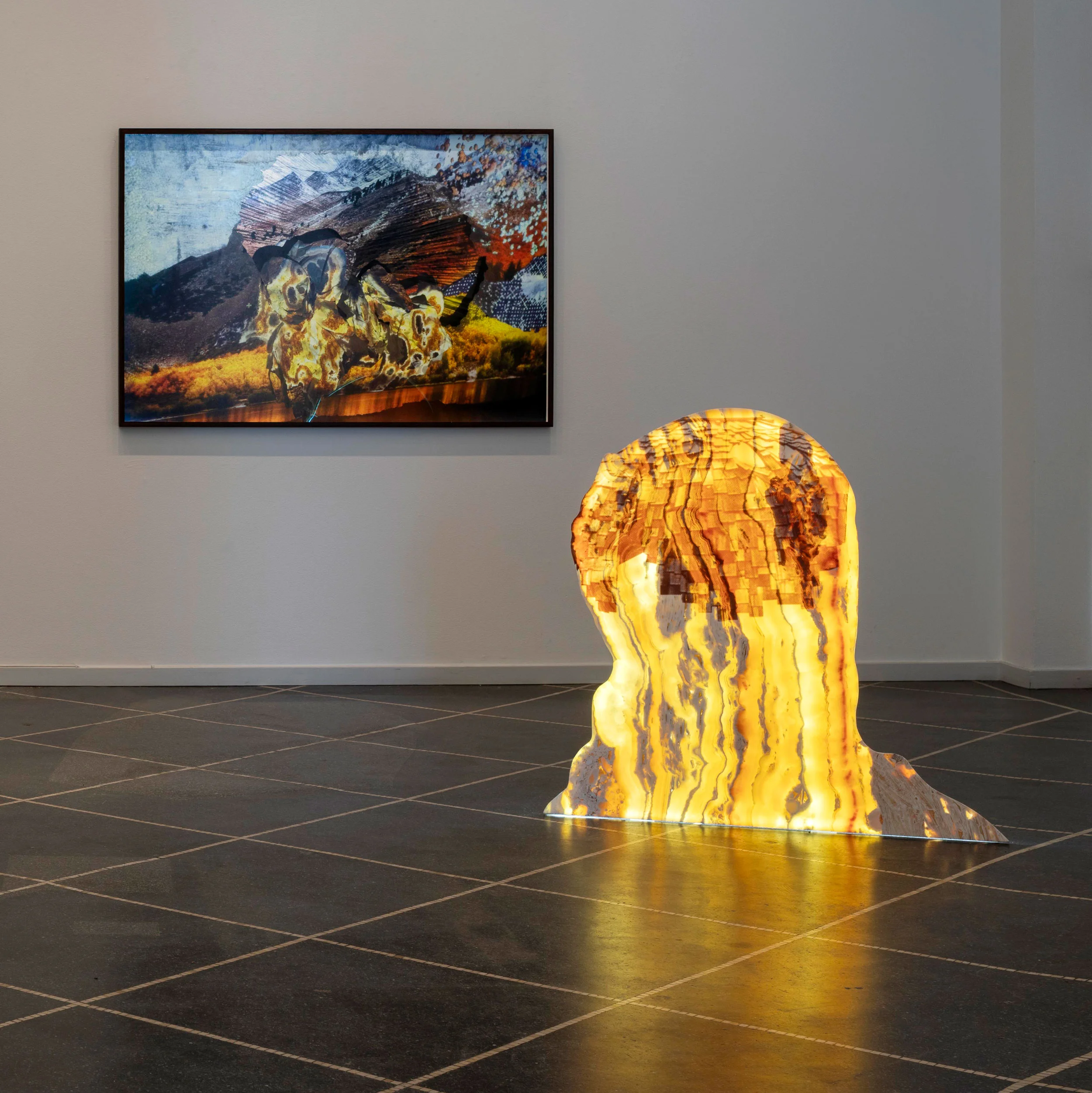 AnimatedColonyOfSisterTaxa Photograph. Giclee print 100 x 150 cm.