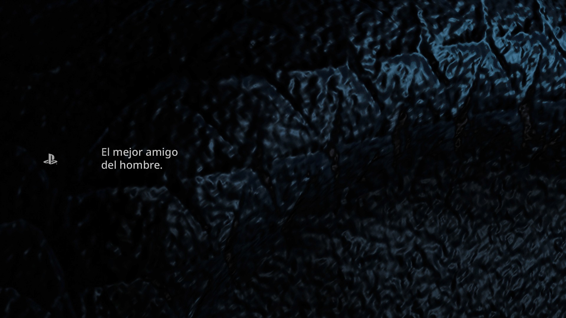 el mejor amigo del hombre