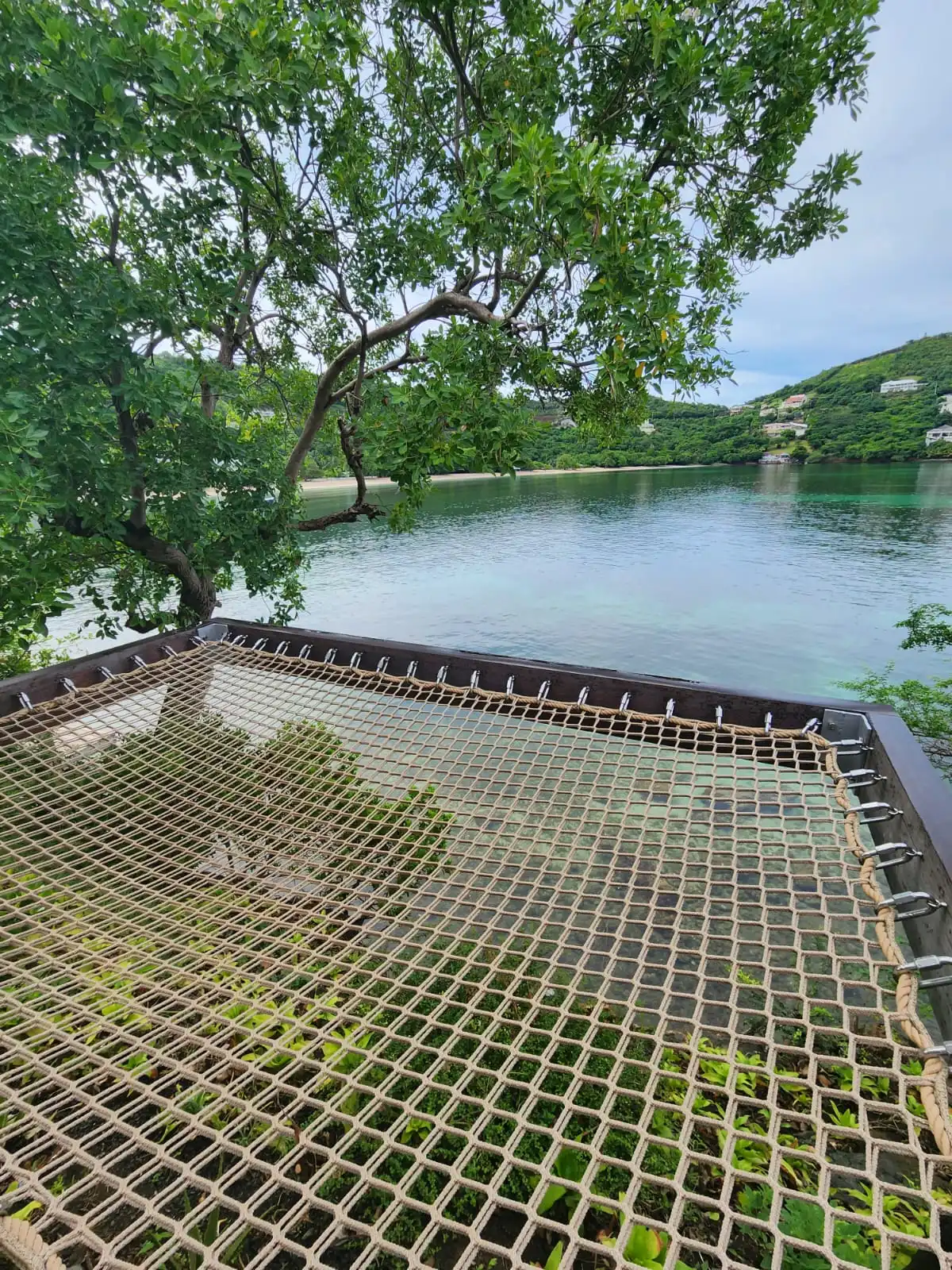 Waterfront terrace with rope hammock and Caribbean bay views at Kellers Residence in St. Lucia by Atelier International LLC
