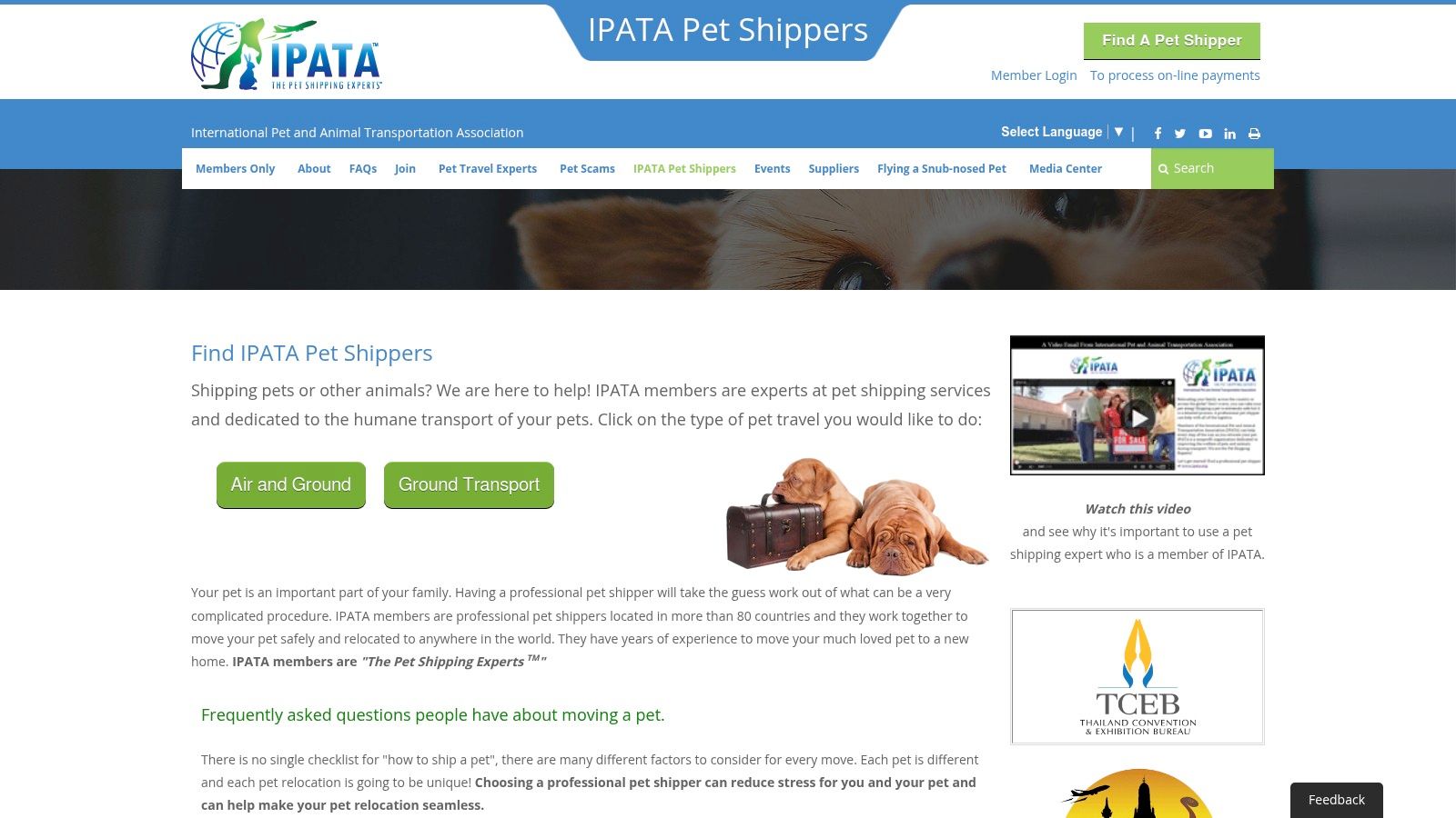 IPATA – International Pet and Animal Transportation Association