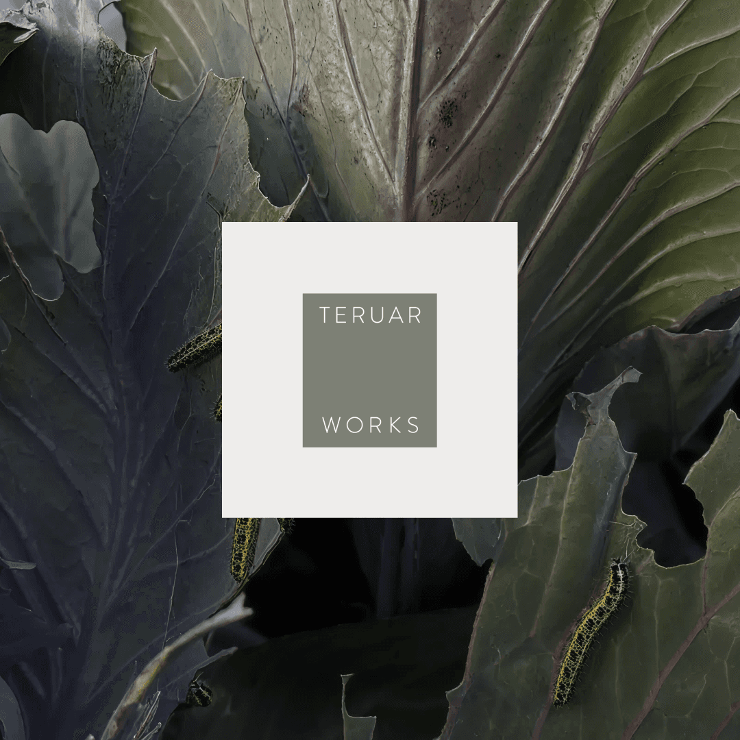 Teruar Urla Main Image