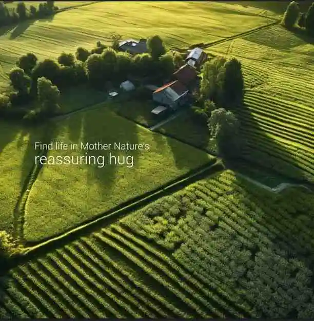 <img src="small-lake-green-trees.png" alt="A serene small lake surrounded by lush green trees along its boundaries, reflecting the peaceful natural scenery." />
