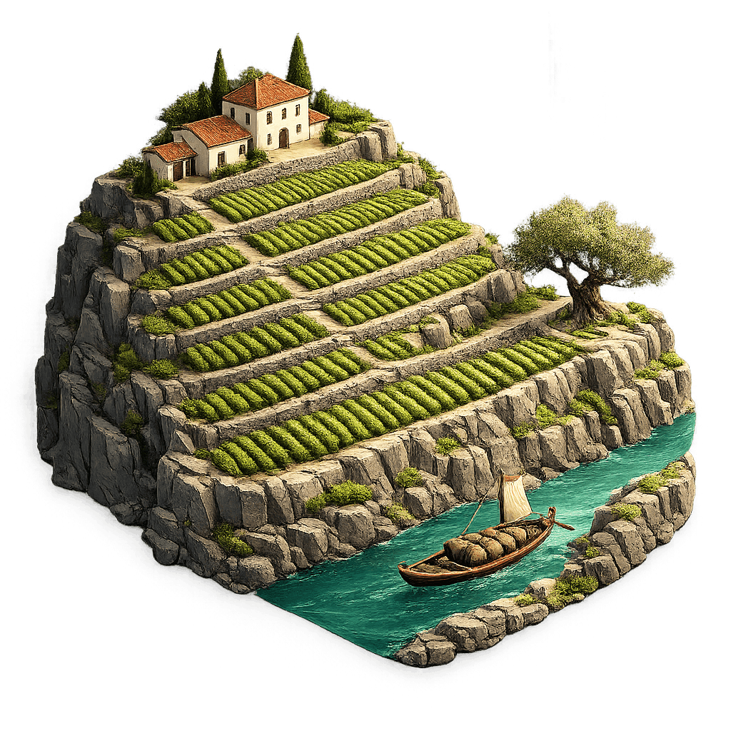 Artistic illustration of the Douro wine region.