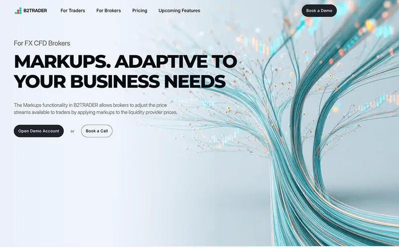 website example